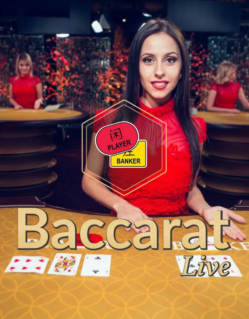 Baccarat A - Evolution Live Casino - Live casino