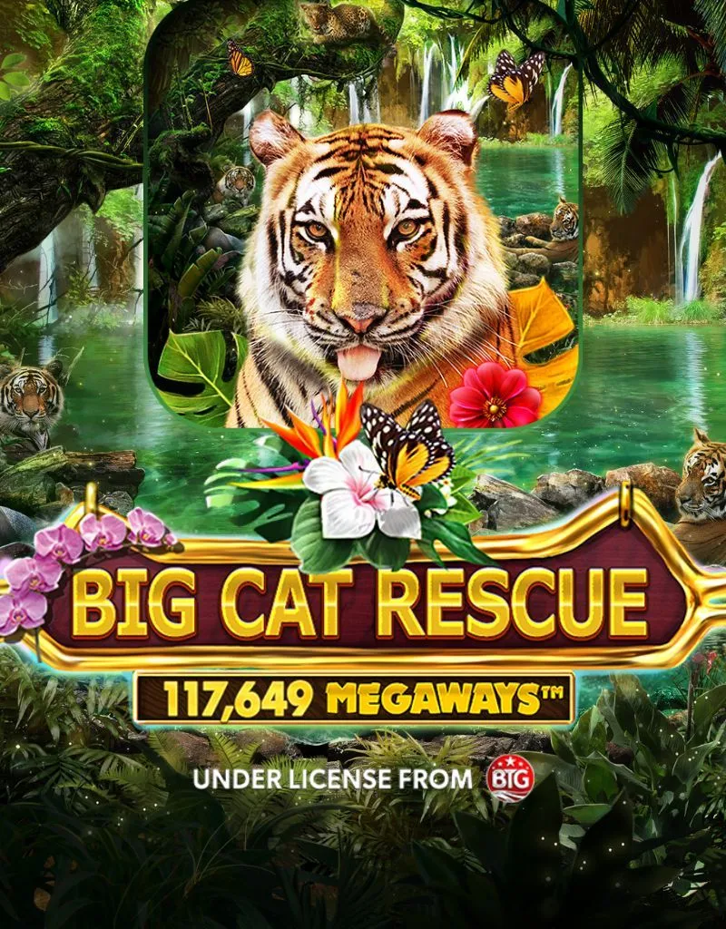 Big Cat Rescue Megaways - RedTiger - Spilleautomater