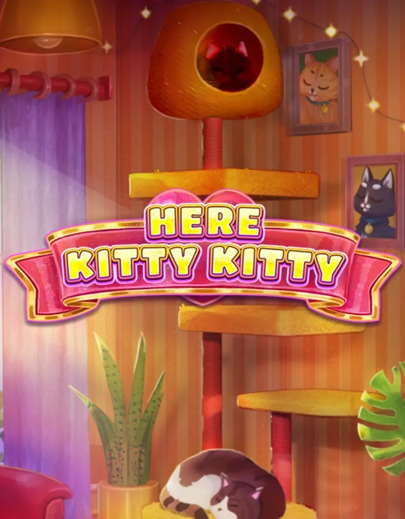 Here Kitty Kitty  - RedTiger - Spilleautomater