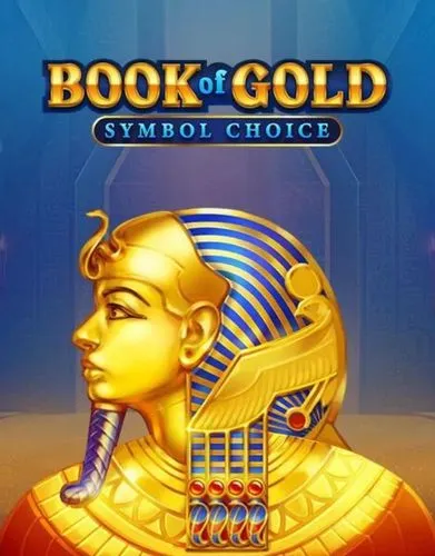 Book of Gold: Symbol Choice - Playson - Spilleautomater