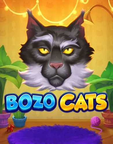 Bozo Cats - Playson - Nye spil